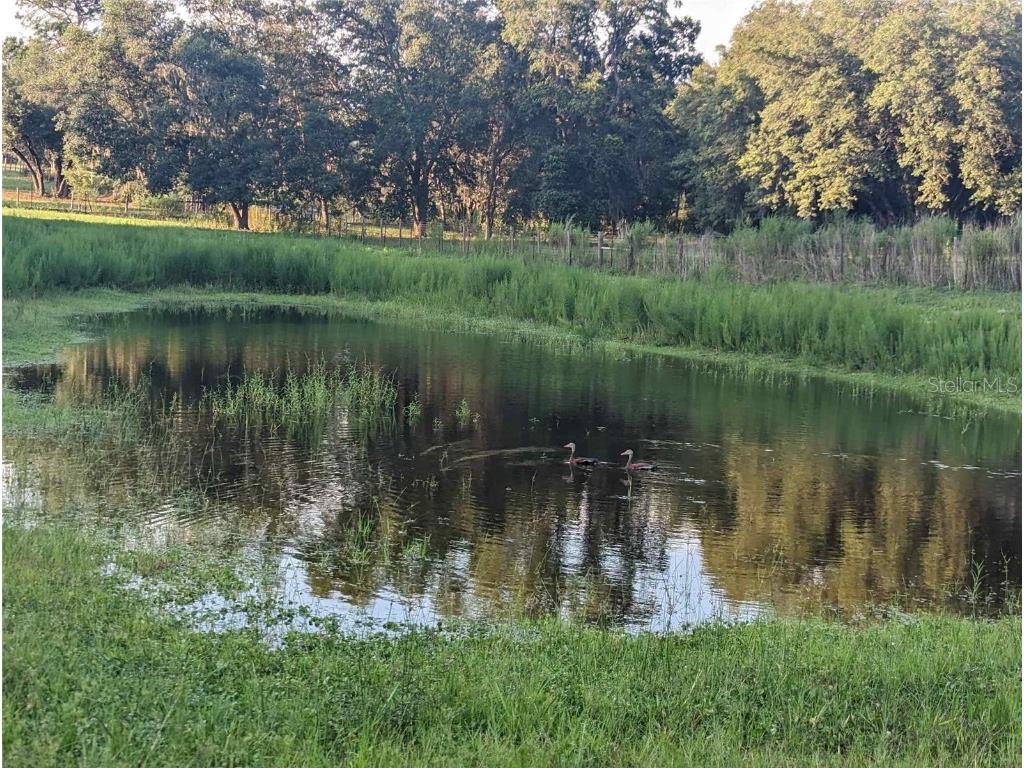 11151 SE 30th Street Morriston FL 32668 OM705214 image9