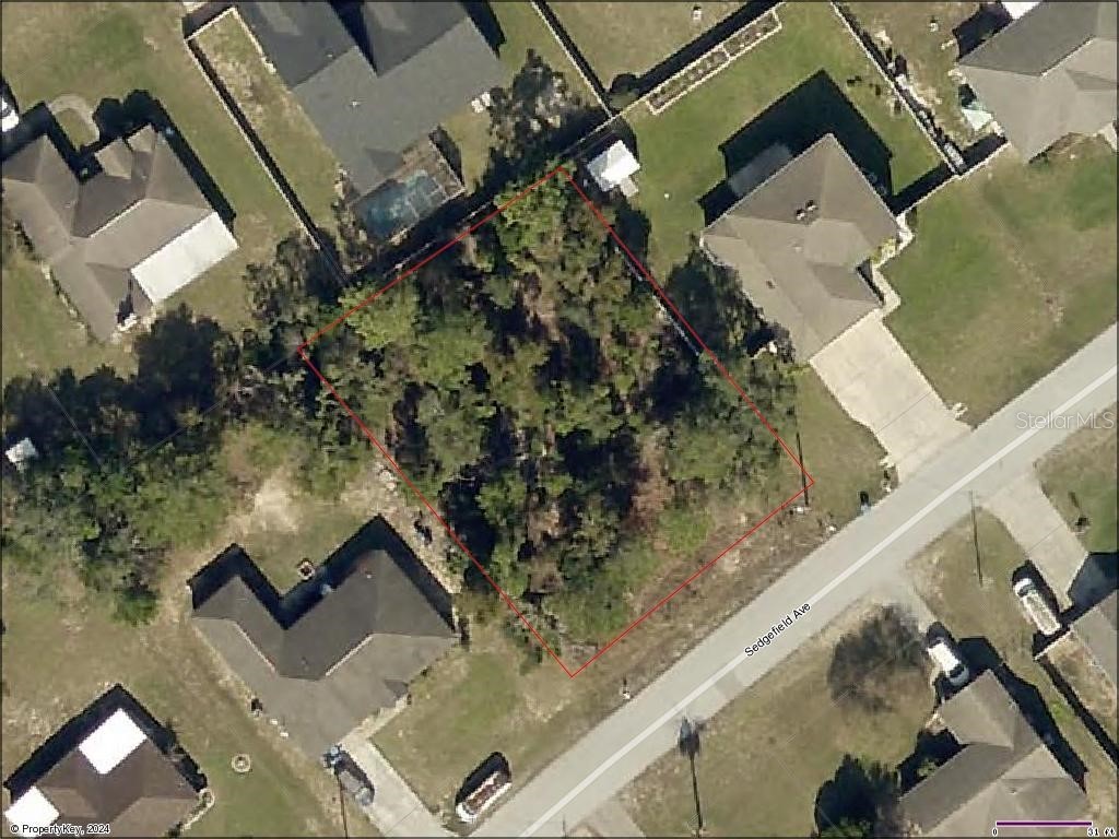 11151 Sedgefield Avenue Spring Hill FL 34608 W7865857 image1