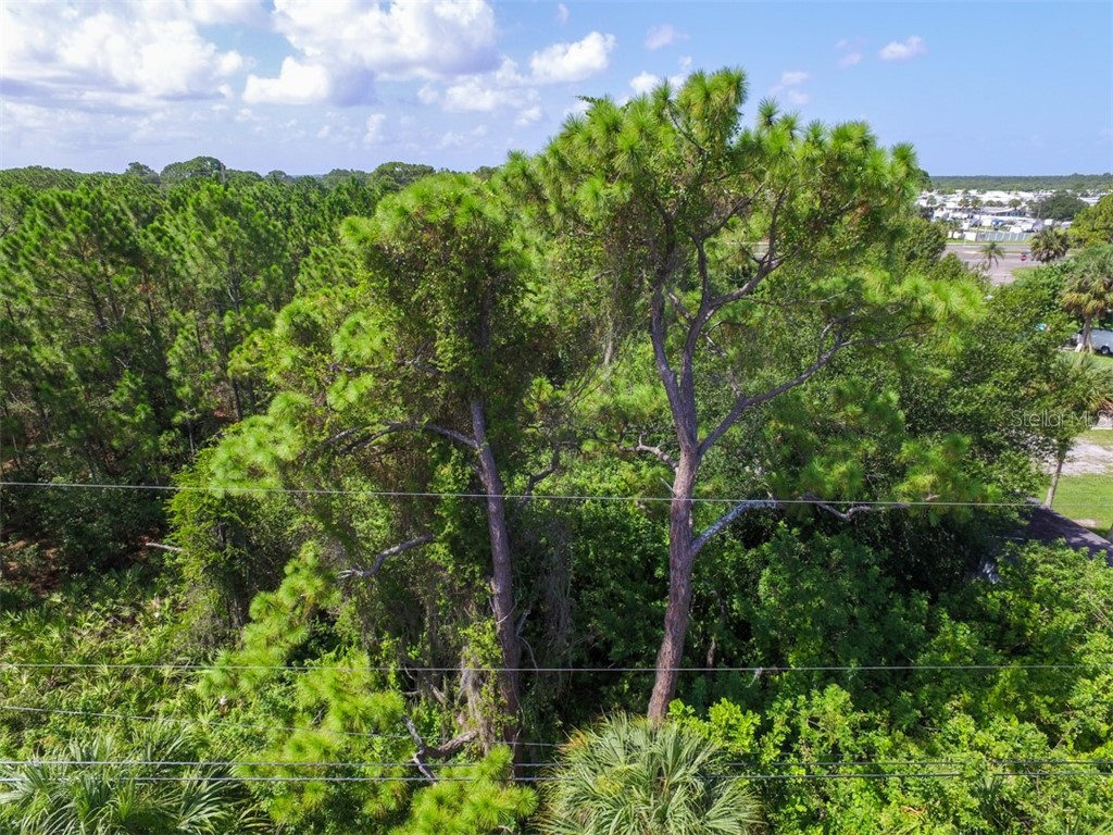 11151 Tamiami Lots 43 44 45 & 46 Trail S North Port FL 34287 C7430071 image7