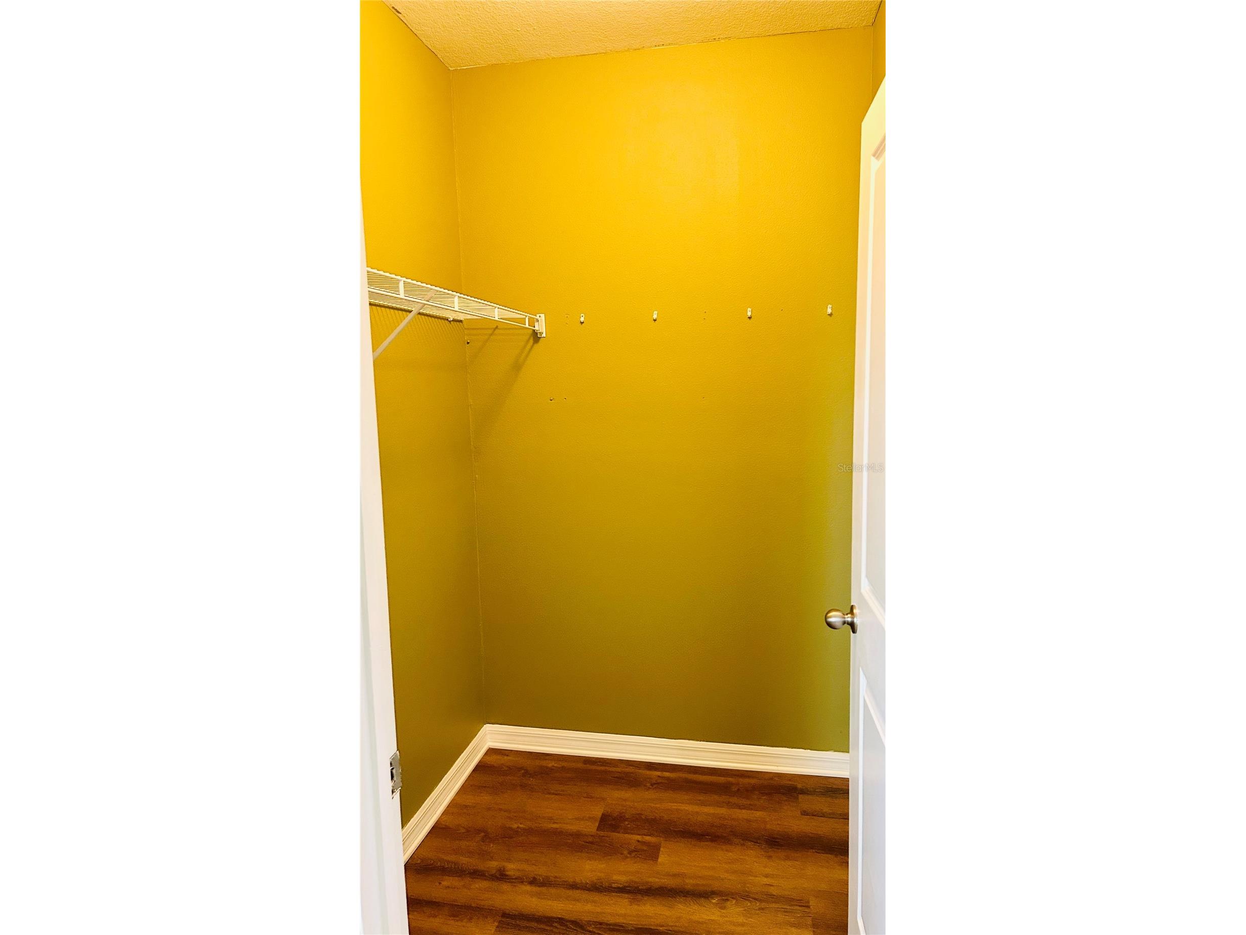 11152 Leland Groves Drive Riverview FL 33579 TB8501781 image19