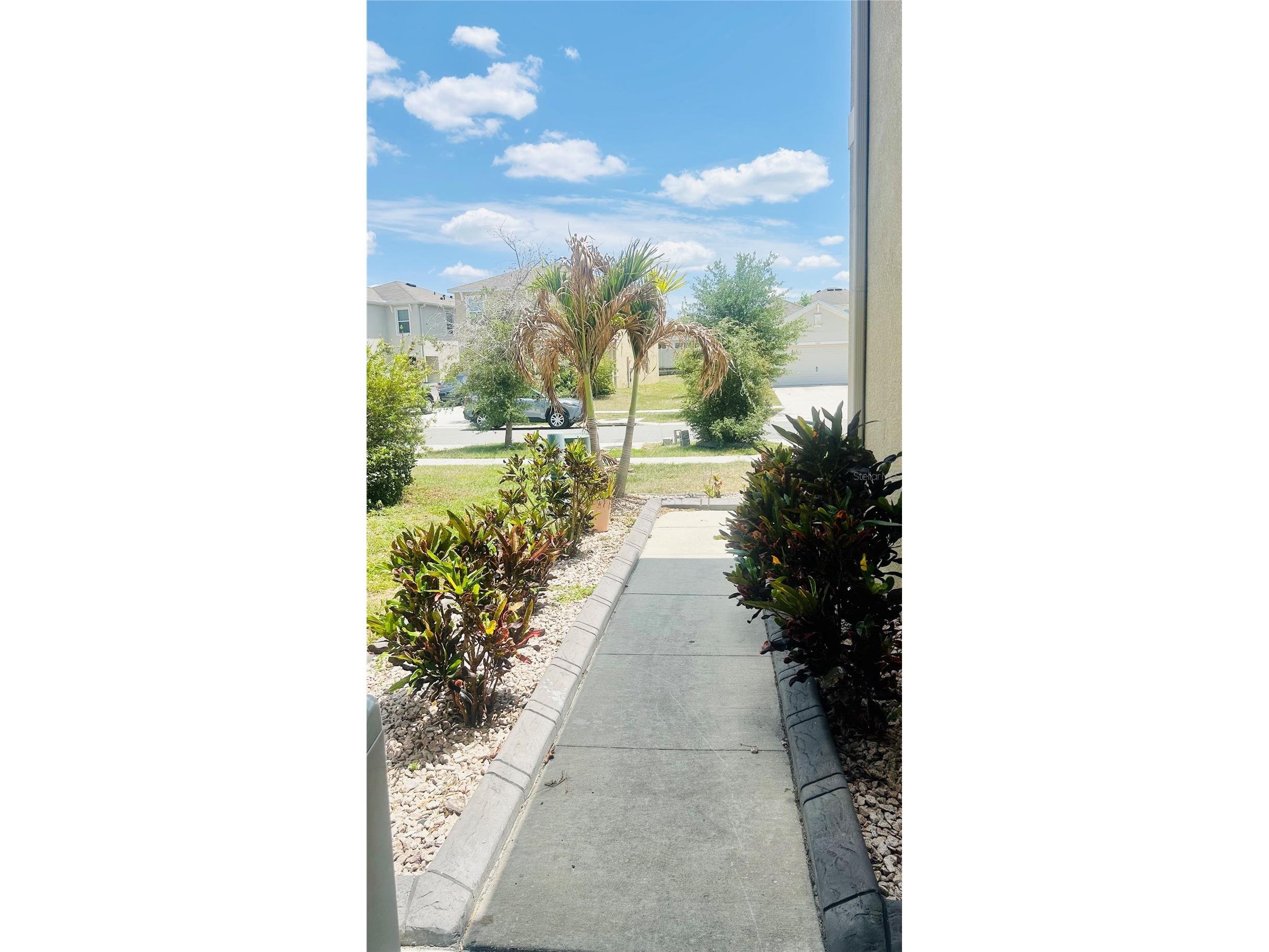 11152 Leland Groves Drive Riverview FL 33579 TB8501781 image28