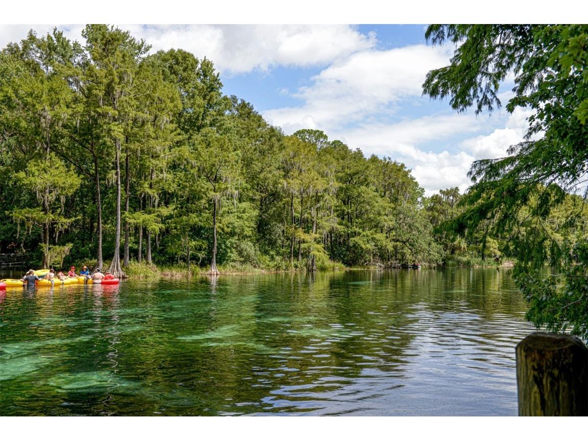 11154 SW 190th Avenue Dunnellon FL 34432 - RAINBOW RIVER OM643525 image1