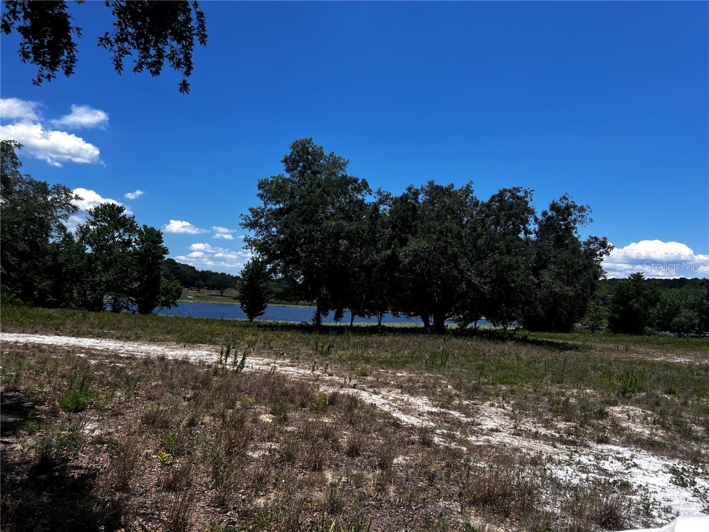 11155 Lake Montgomery Boulevard Clermont FL 34715 - Golden Pond G5082236 image1