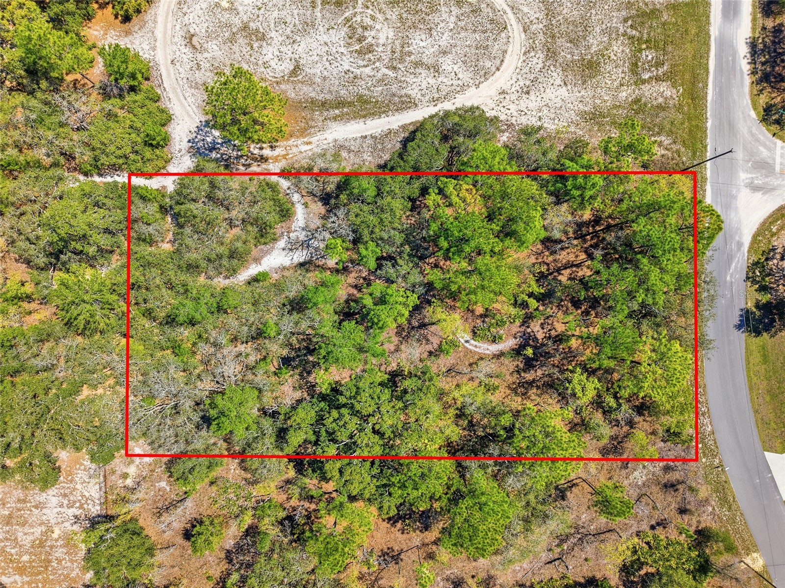 11155 Marsh Wren Avenue Weeki Wachee FL 34614 TB8489868 image10