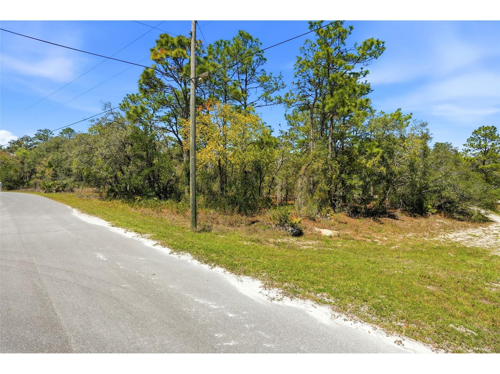 11155 Marsh Wren Avenue Weeki Wachee FL 34614 TB8489868 image7