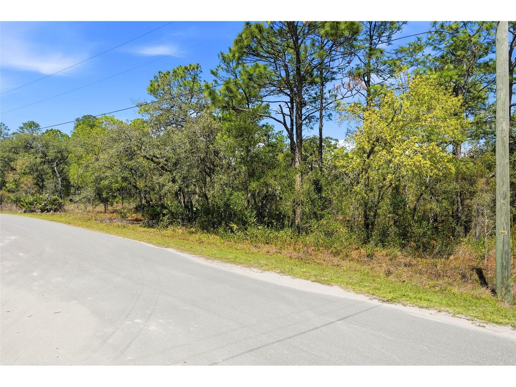 11155 Marsh Wren Avenue Weeki Wachee FL 34614 TB8489868 image8