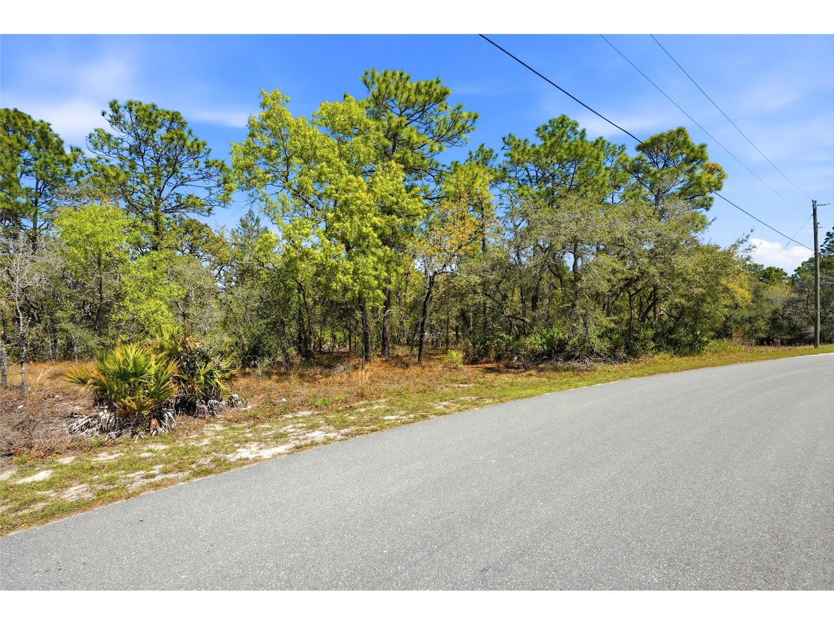 11155 Marsh Wren Avenue Weeki Wachee FL 34614 TB8489868 image9