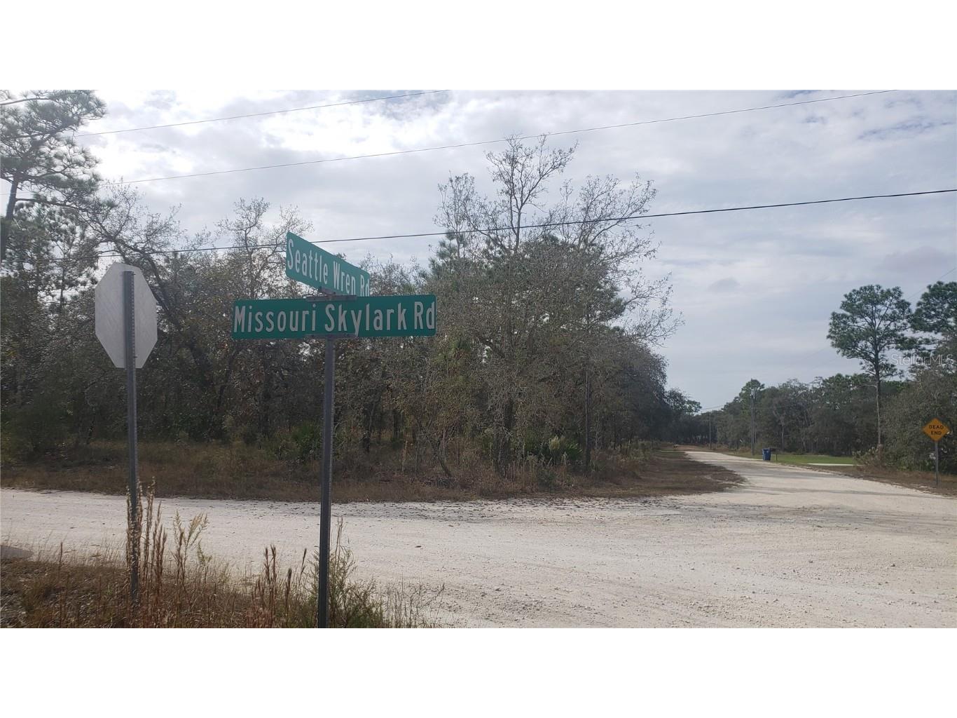 11156 Seattle Wren Avenue Weeki Wachee FL 34614 W7850712 image1