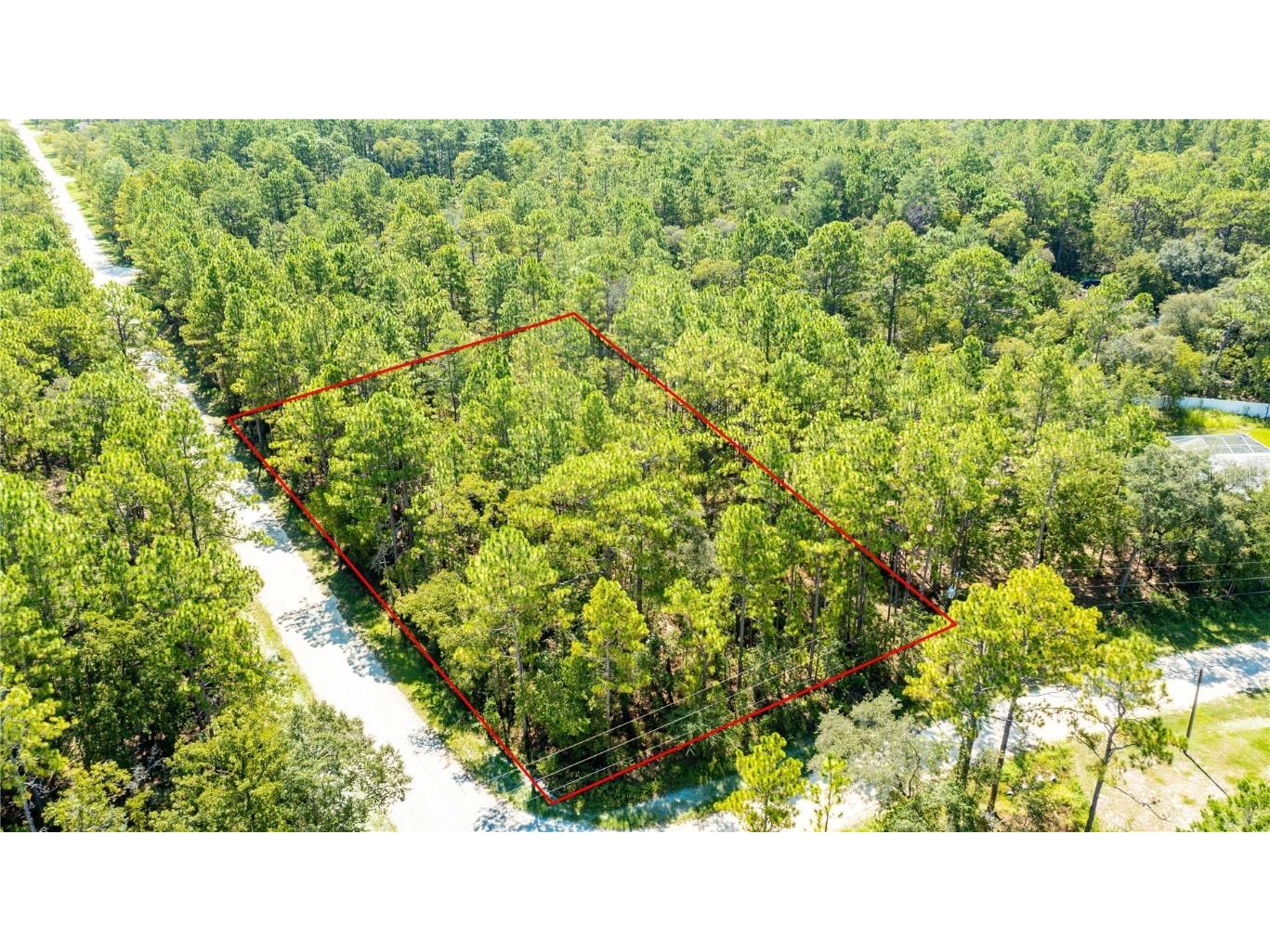 11156 Yellow Tail Ave Weeki Wachee FL 34614 T3467941 image1