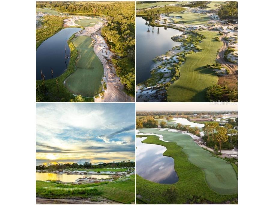 11157 Price Lane Myakka City FL 34251 A4650714 image9