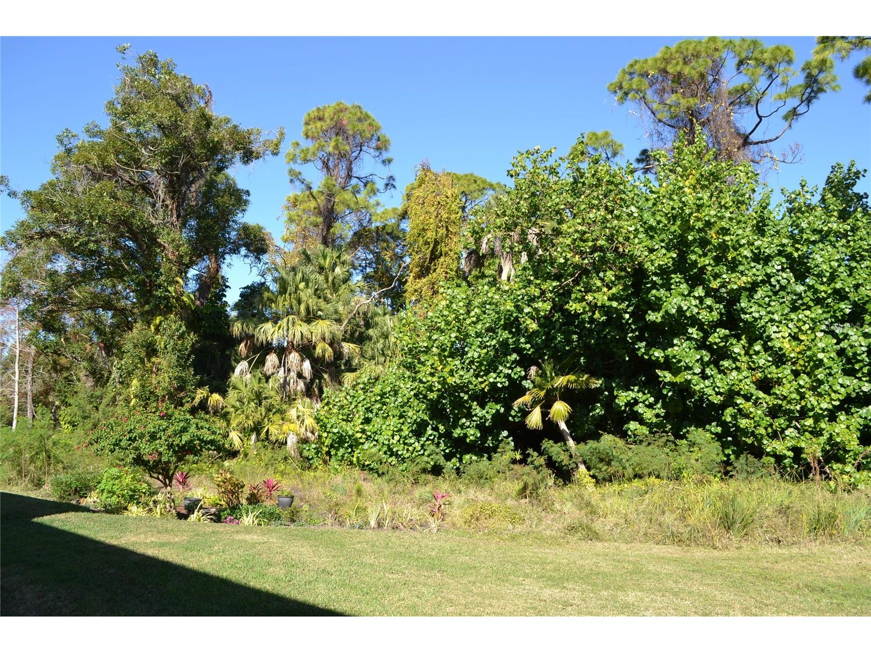 11158 Kapok Grand Circle Madeira Beach FL 33708 TB8463004 image33