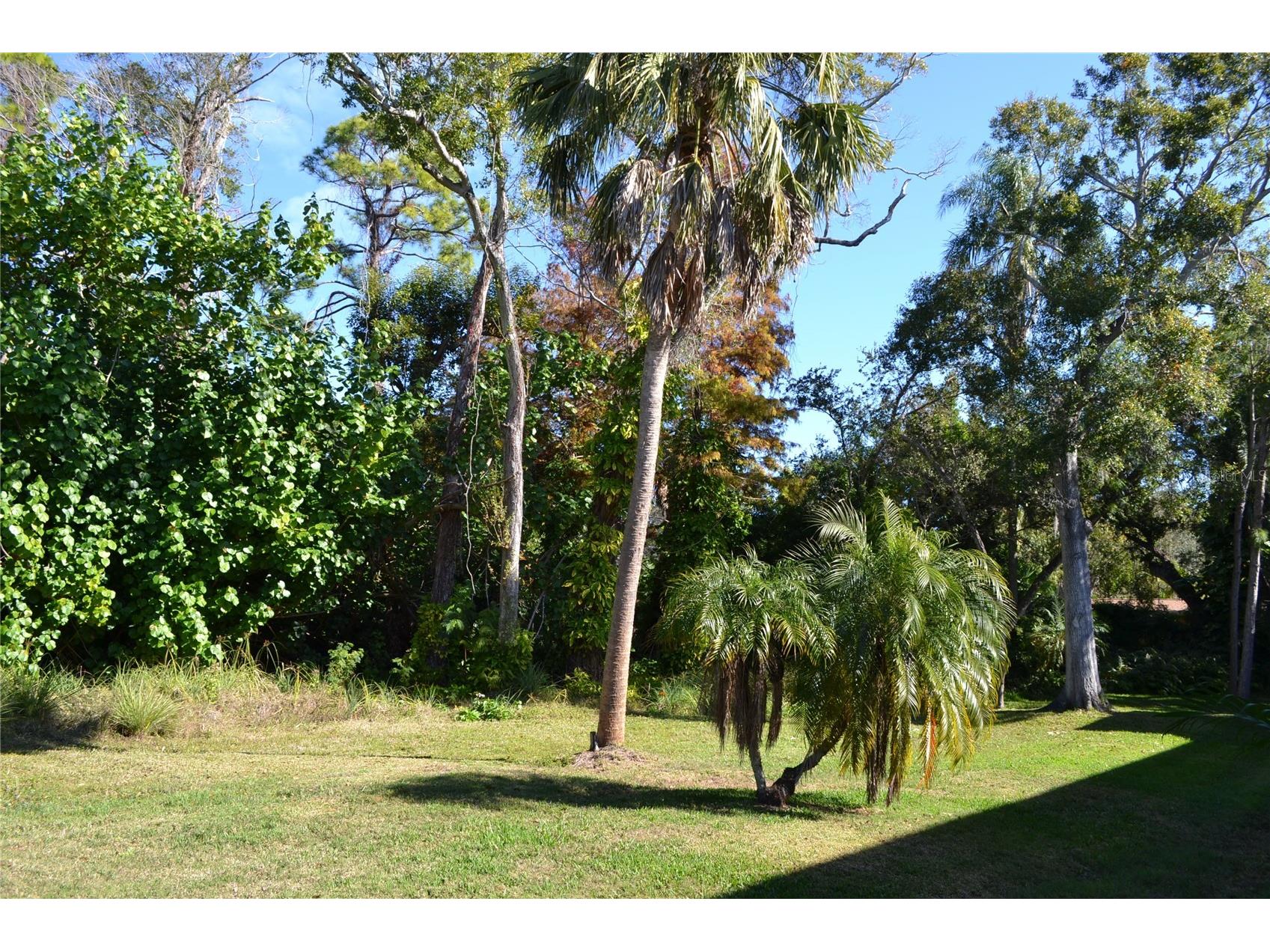 11158 Kapok Grand Circle Madeira Beach FL 33708 TB8463004 image35