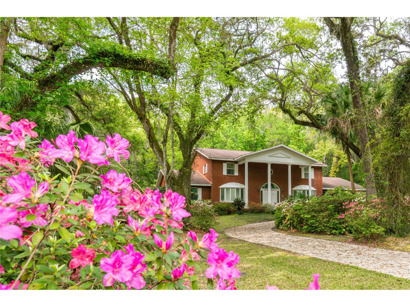 11159 Cindy Drive Brooksville FL 34601 TB8400486 image1