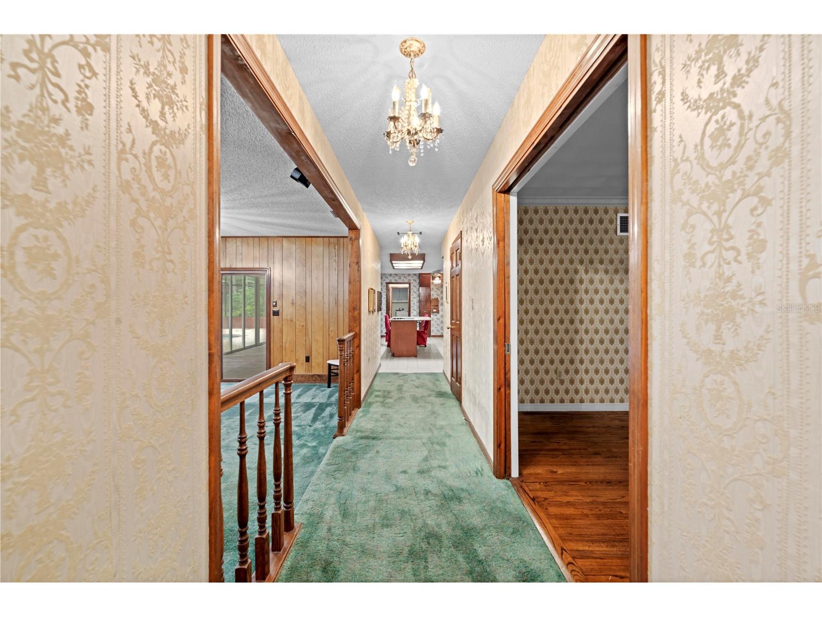 11159 Cindy Drive Brooksville FL 34601 TB8400486 image22