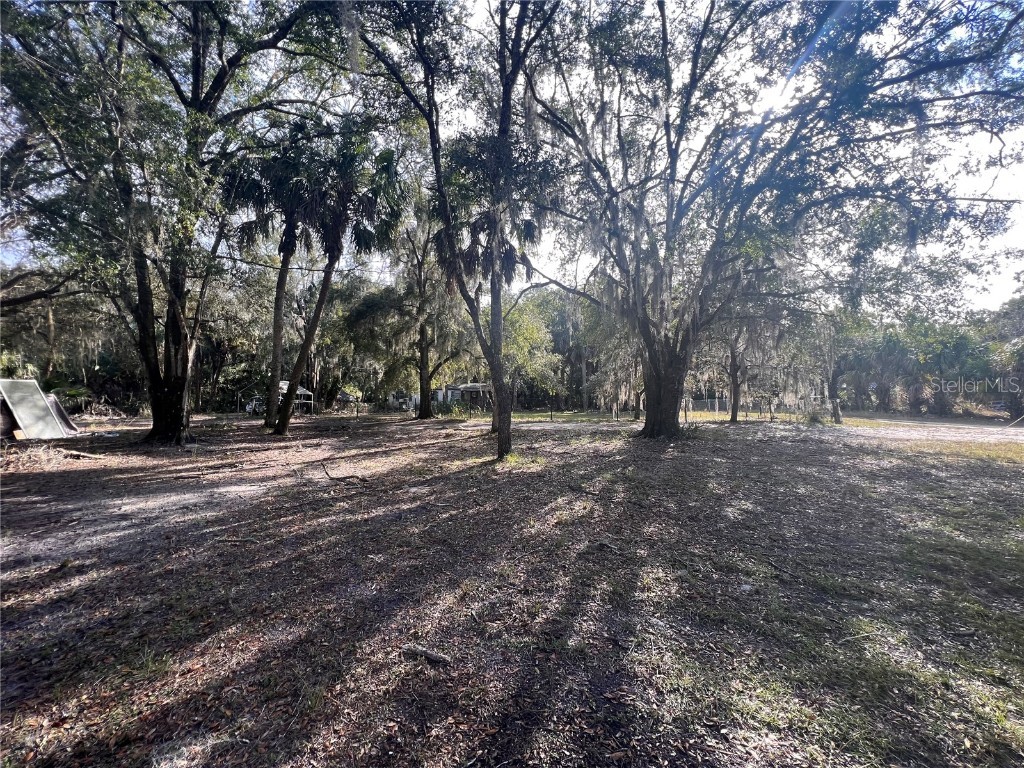 11159 N Clamdigger Terrace Inglis FL 34449 OM669364 image1