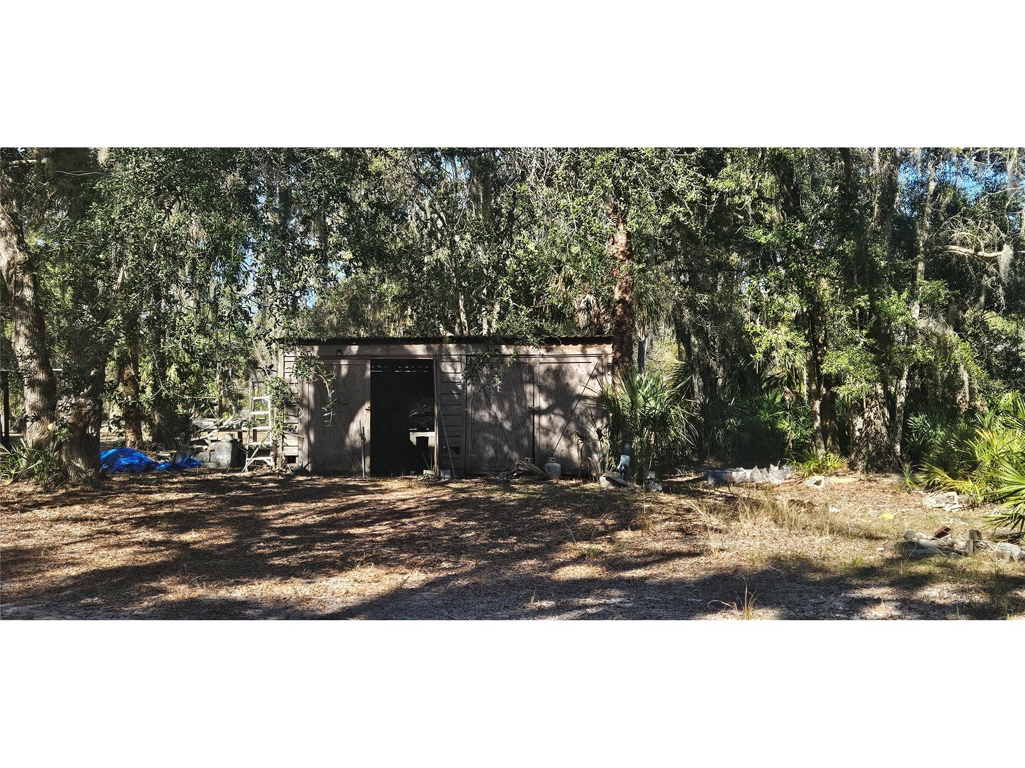 11159 N Clamdigger Terrace Inglis FL 34449 OM717762 image16
