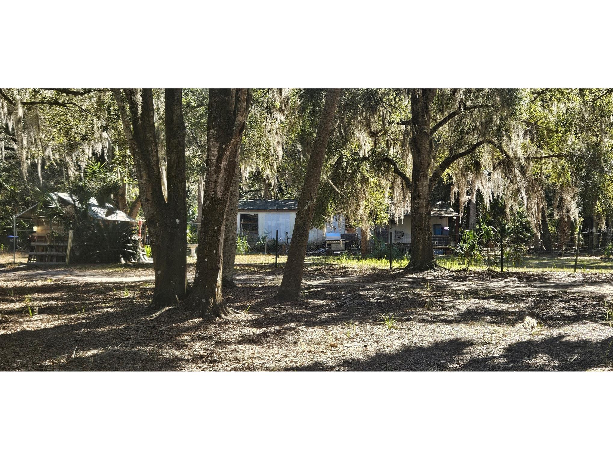 11159 N Clamdigger Terrace Inglis FL 34449 OM717762 image18