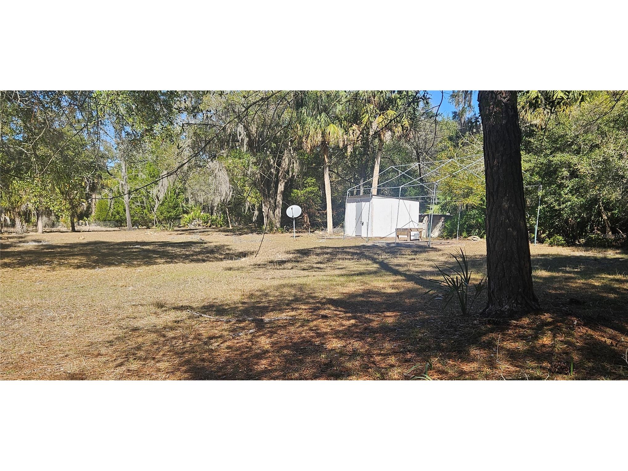 11159 N Clamdigger Terrace Inglis FL 34449 OM717762 image19
