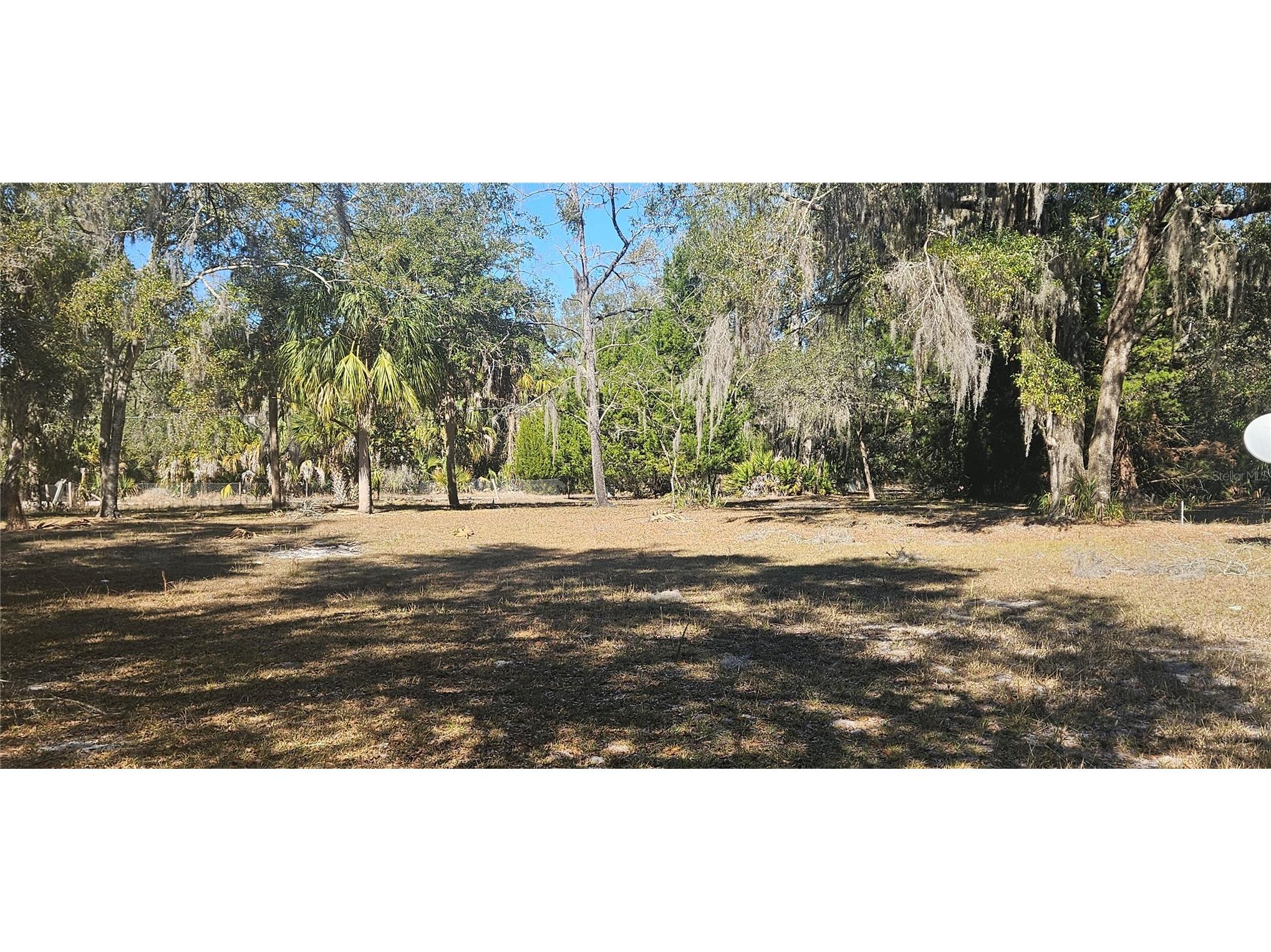 11159 N Clamdigger Terrace Inglis FL 34449 OM717762 image23