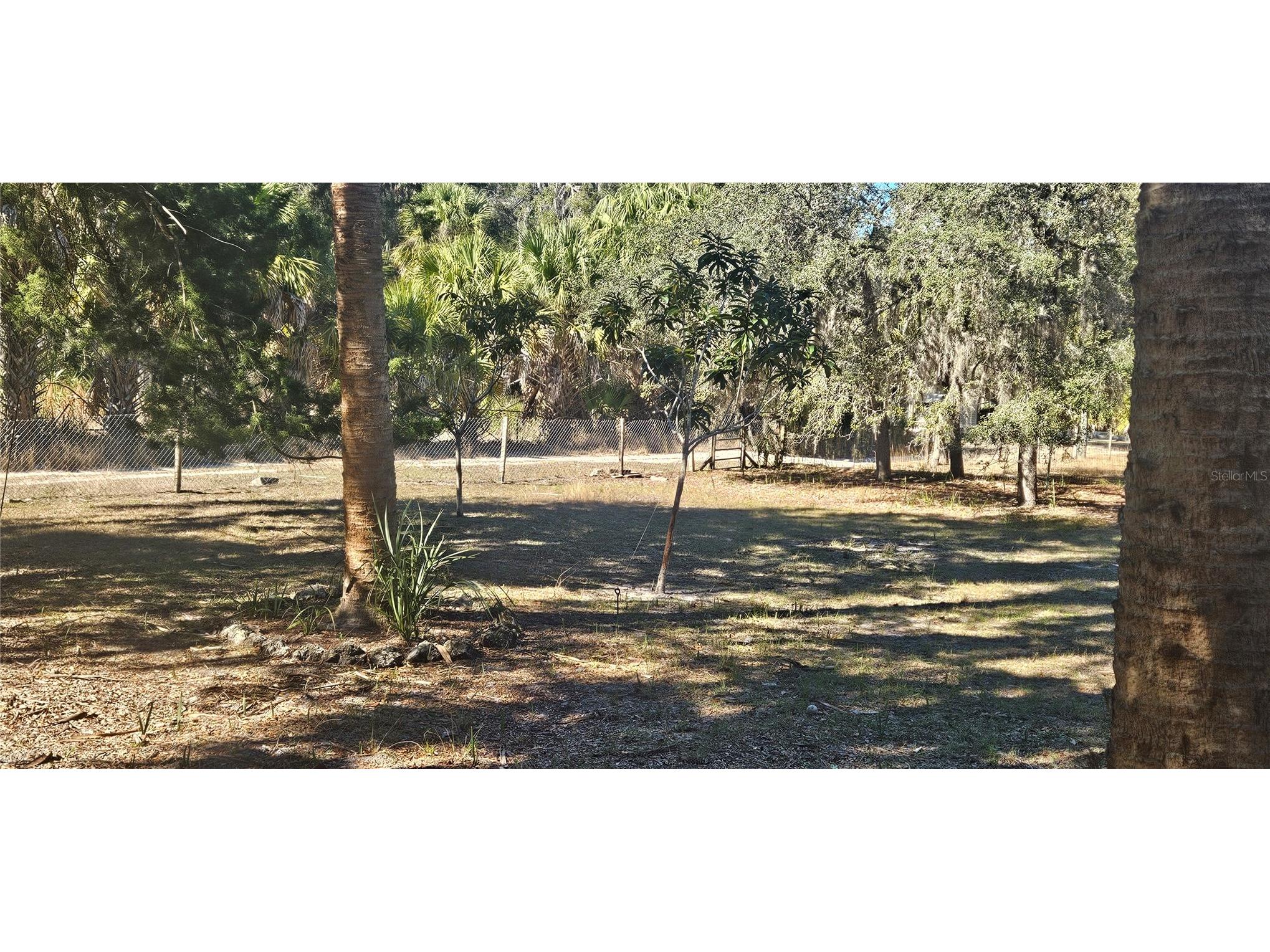 11159 N Clamdigger Terrace Inglis FL 34449 OM717762 image28