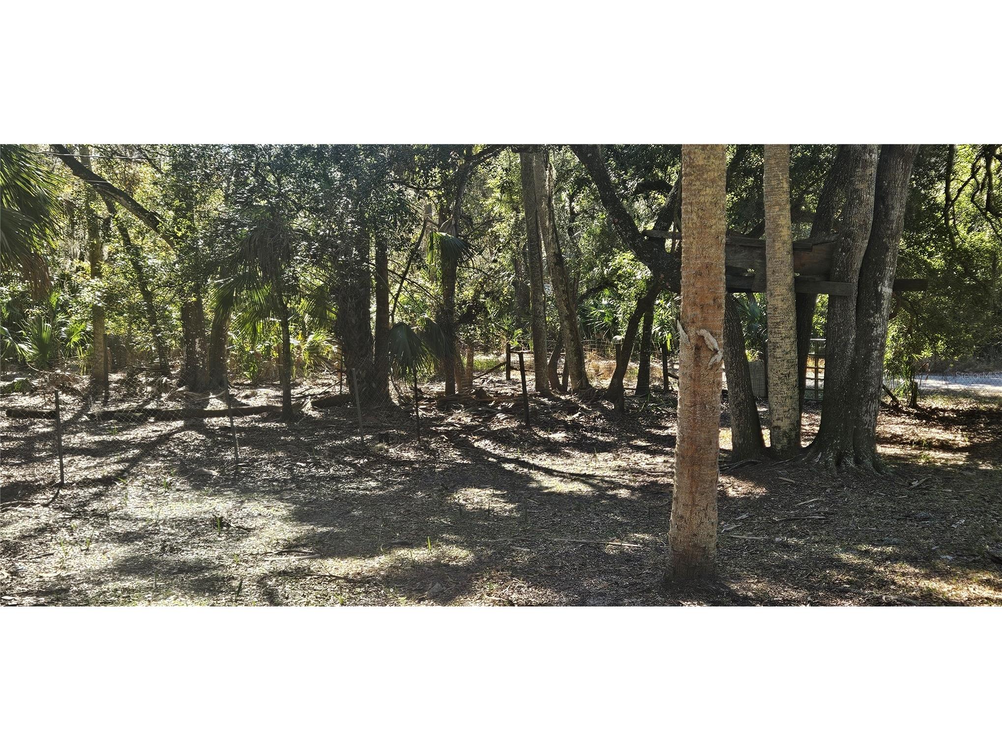 11159 N Clamdigger Terrace Inglis FL 34449 OM717762 image29