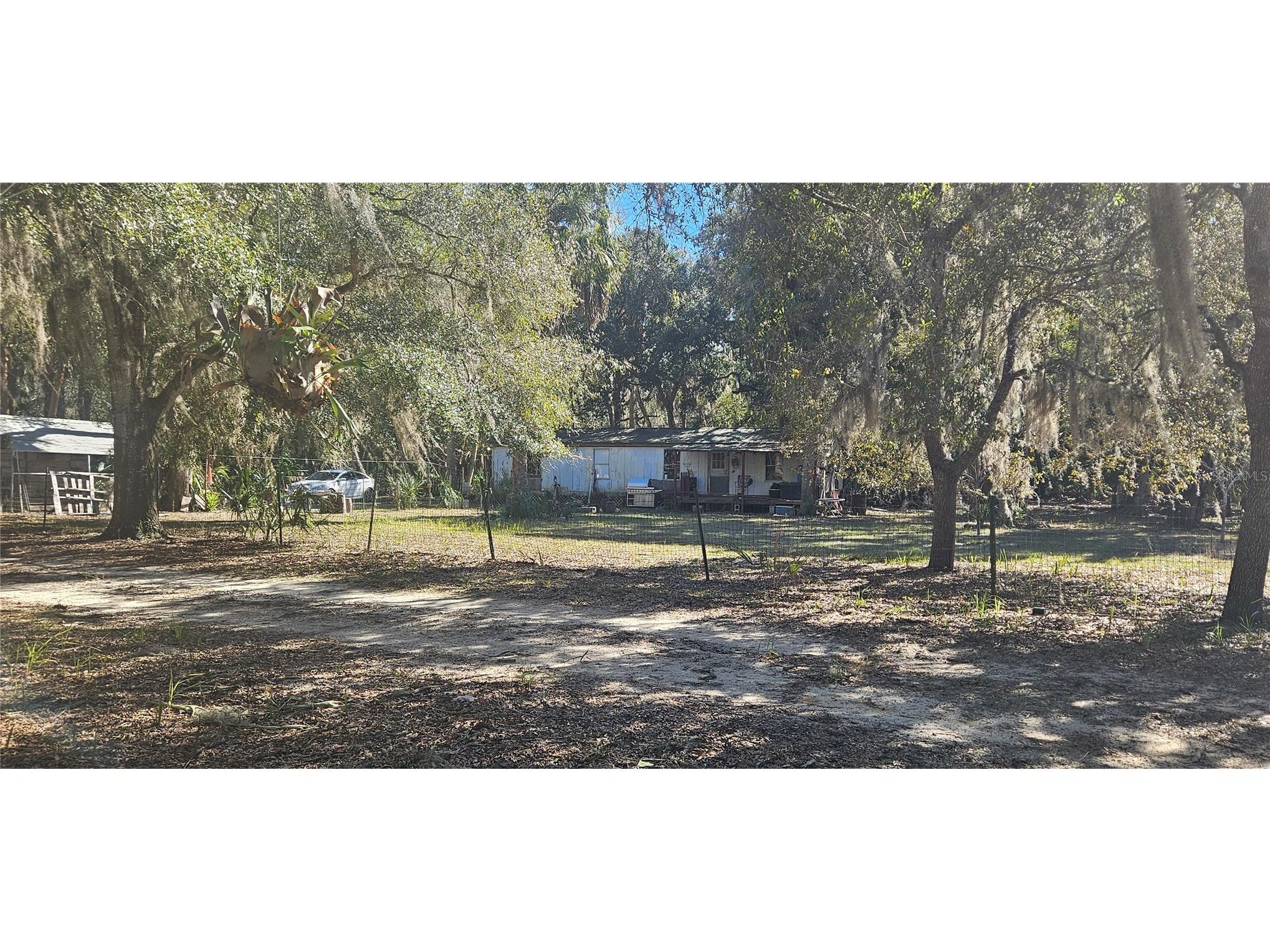 11159 N Clamdigger Terrace Inglis FL 34449 OM717762 image3