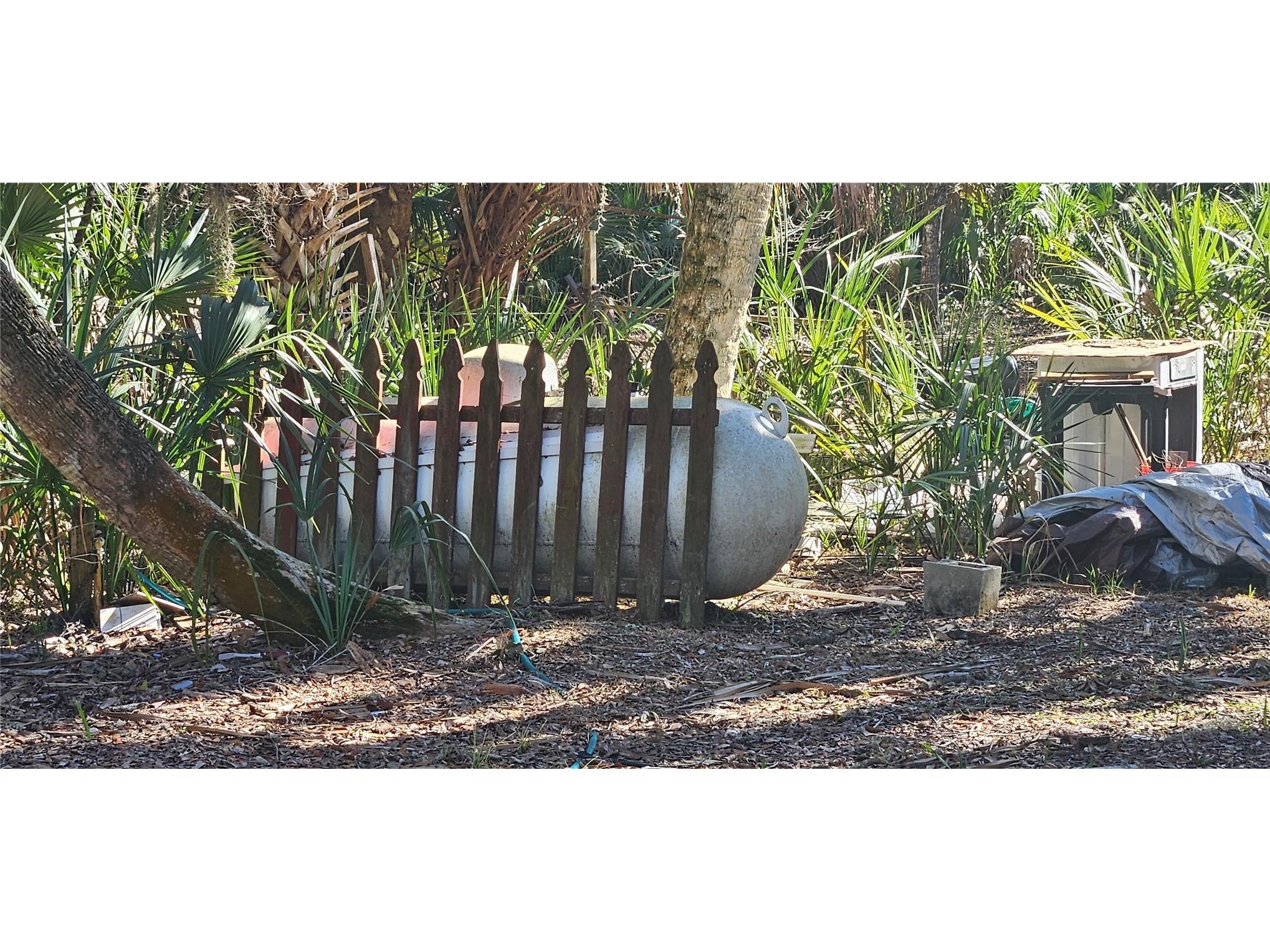 11159 N Clamdigger Terrace Inglis FL 34449 OM717762 image39