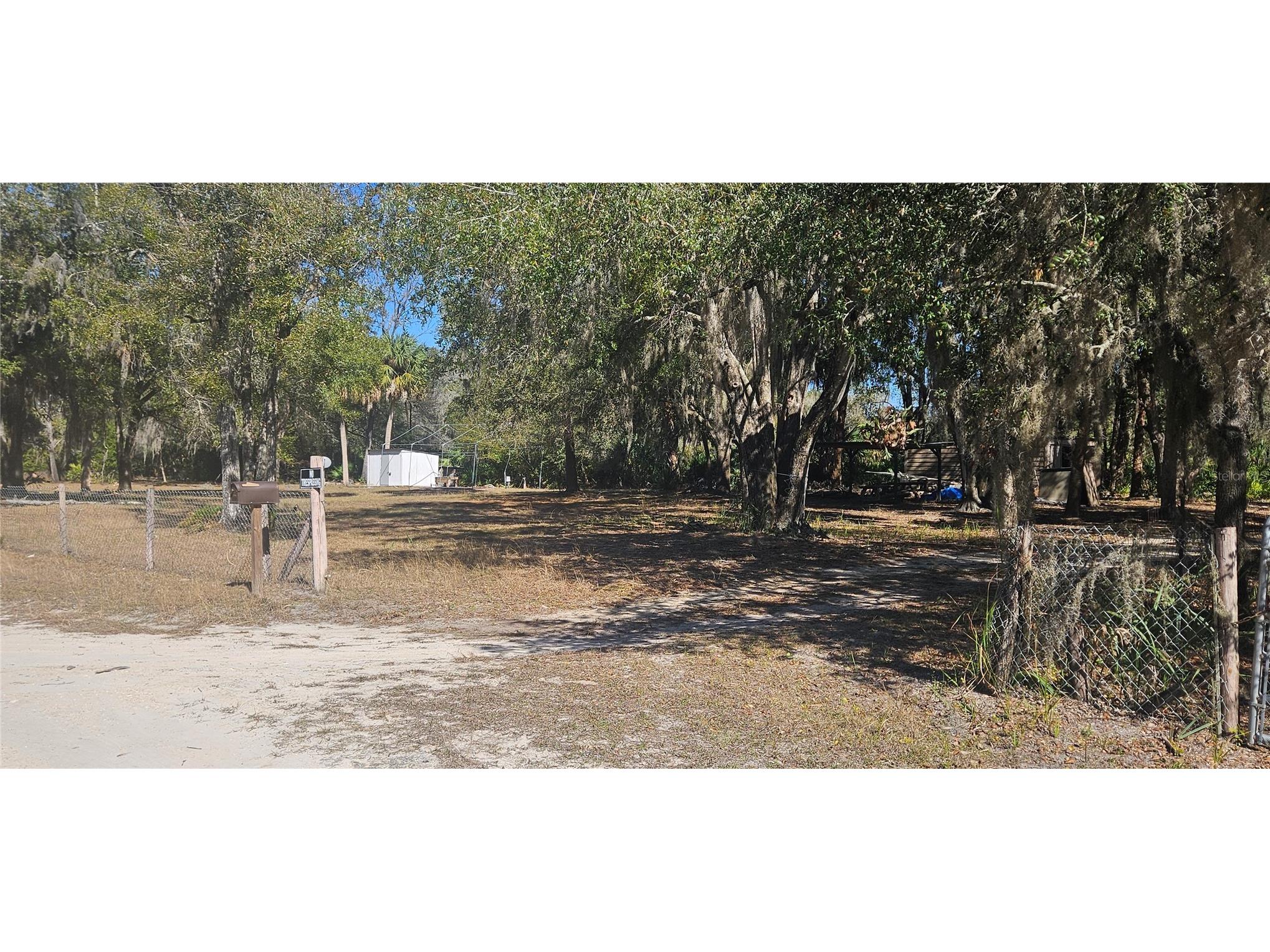 11159 N Clamdigger Terrace Inglis FL 34449 OM717762 image4