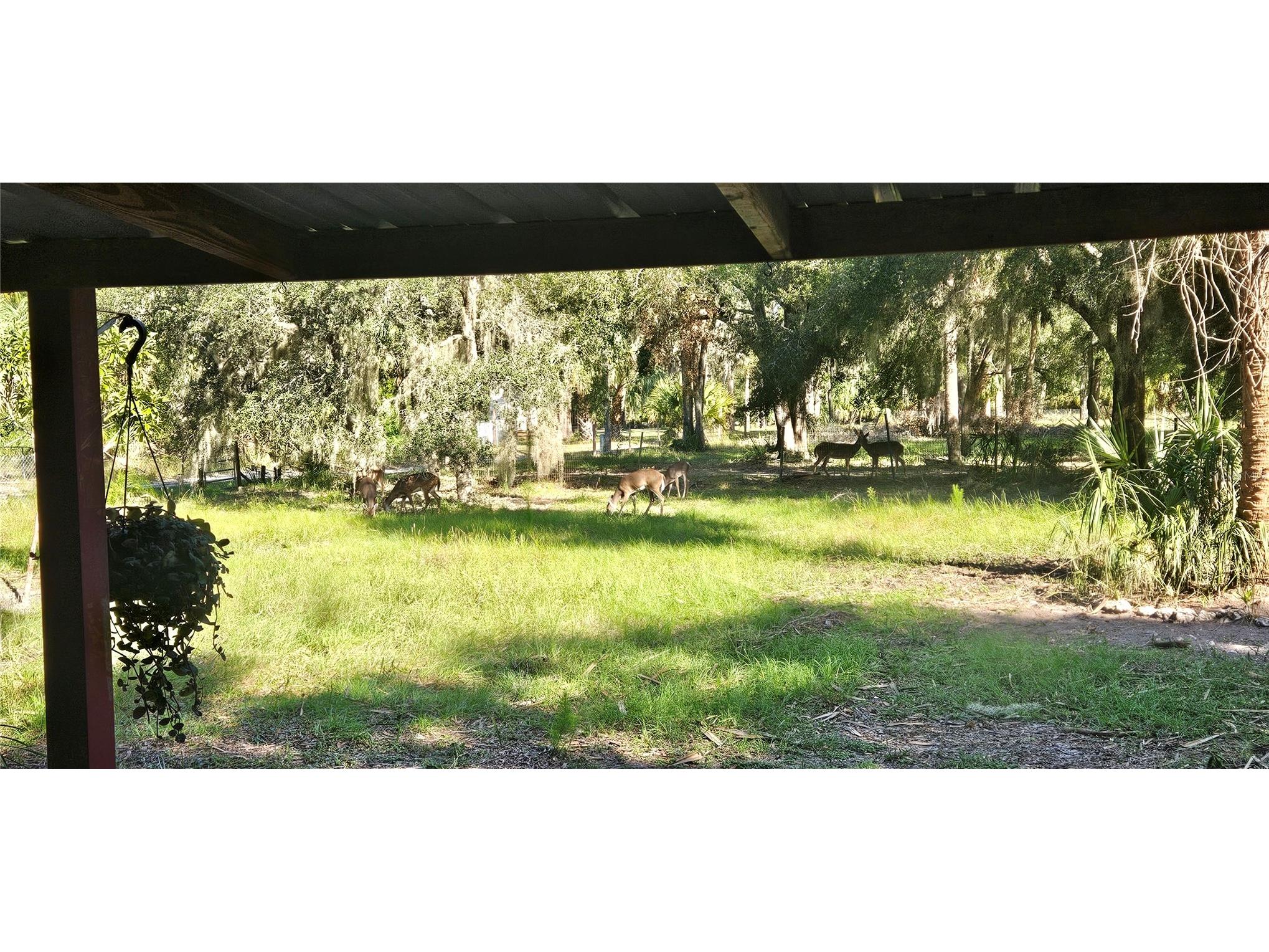 11159 N Clamdigger Terrace Inglis FL 34449 OM717762 image40