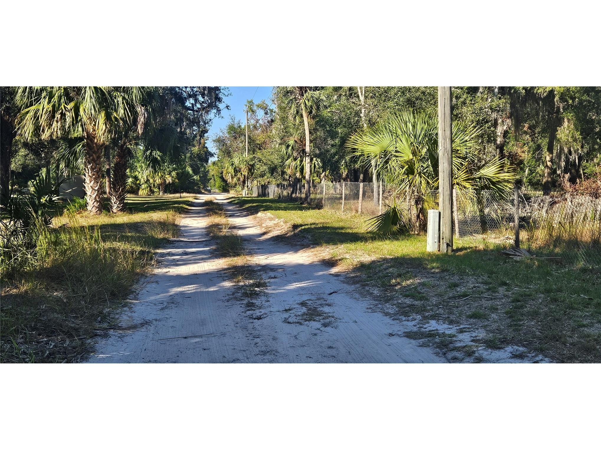 11159 N Clamdigger Terrace Inglis FL 34449 OM717762 image43