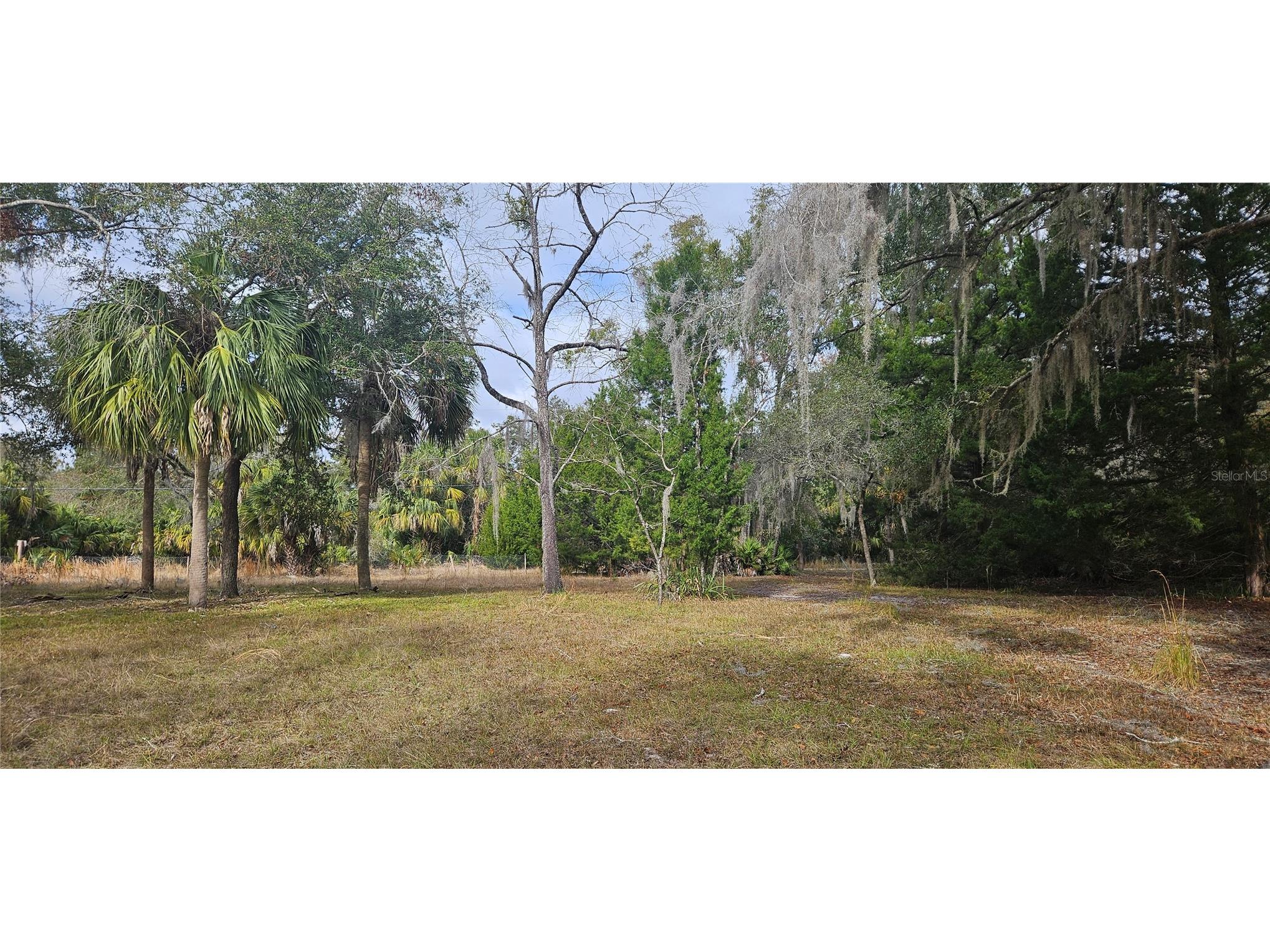 11159 N Clamdigger Terrace Inglis FL 34449 OM717762 image50