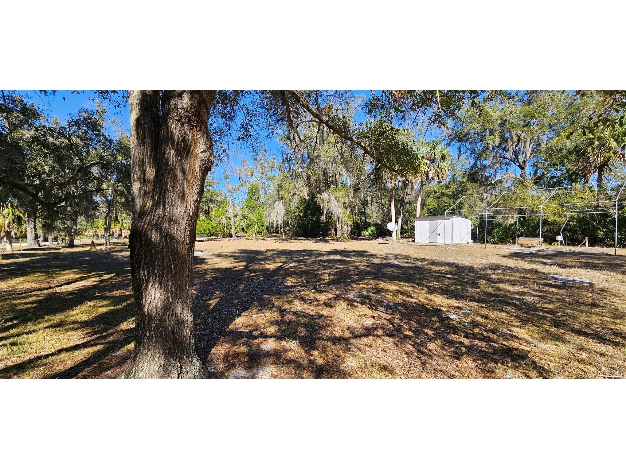11159 N Clamdigger Terrace Inglis FL 34449 OM717762 image58