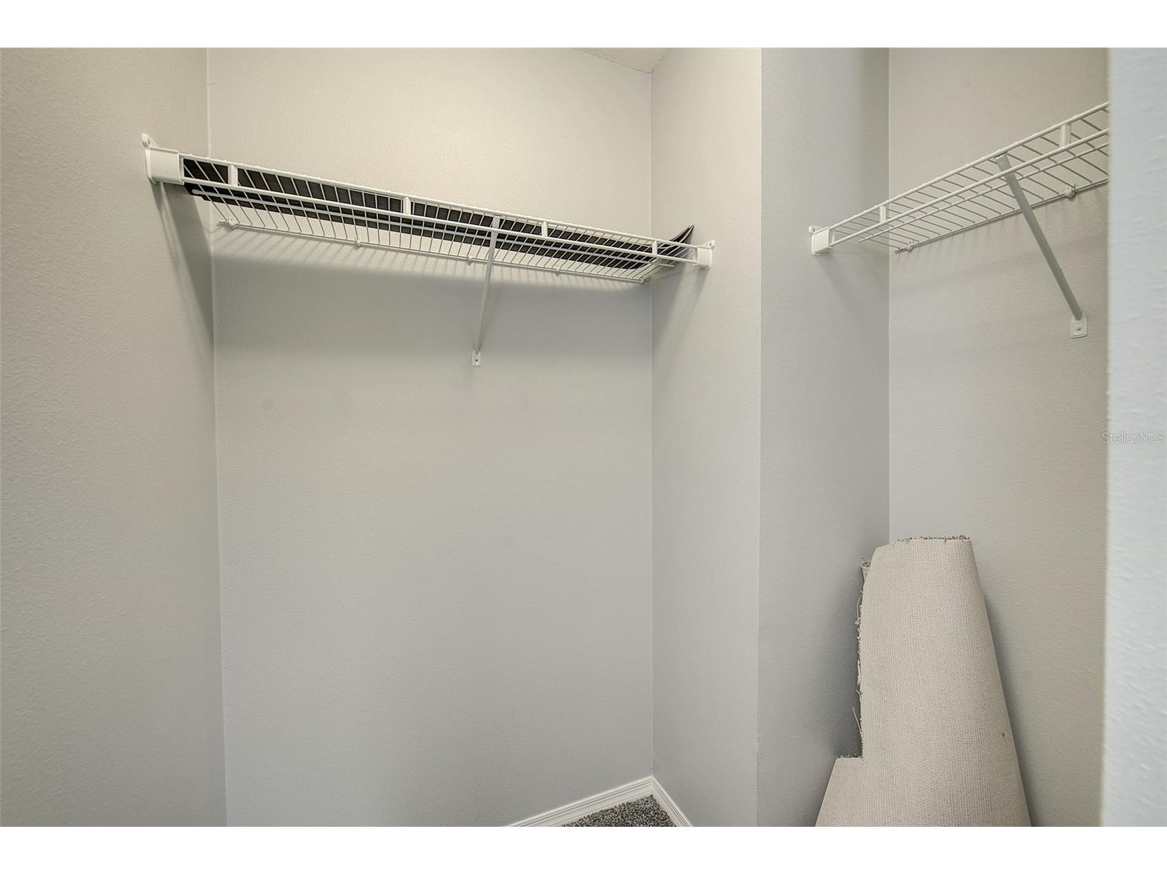 11159 Running Pine Drive Riverview FL 33569 TB8476441 image28