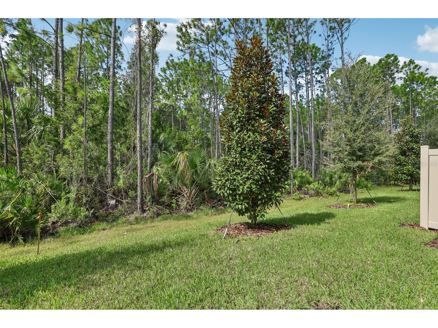 1116 Bradford Park Drive Ormond Beach FL 32174 O6343353 image32