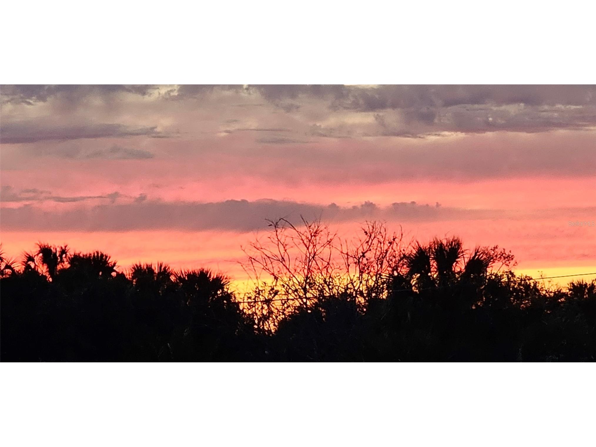 1116 Canal Street Ruskin FL 33570 TB8477417 image80