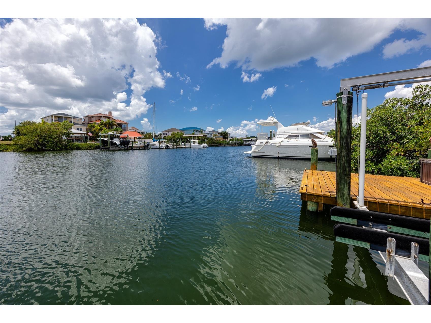 1116 Kingfish Place Apollo Beach FL 33572 TB8511040 image43