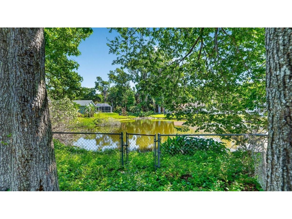 1116 Meditation Loop Port Orange FL 32129 V4948582 image17