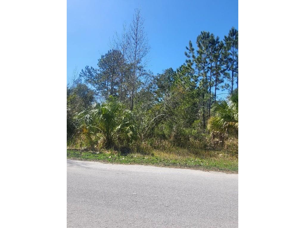 1116 N Lorri Terrace Crystal River FL 34429 S5124105 image1