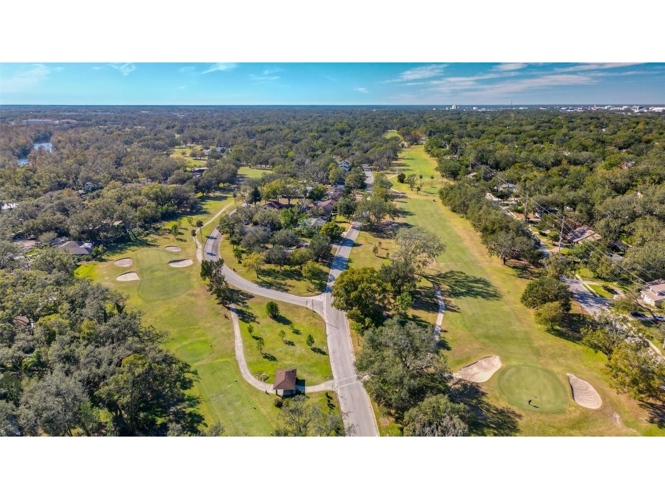 1116 N Riverhills Drive Temple Terrace FL 33617 TB8326070 image53