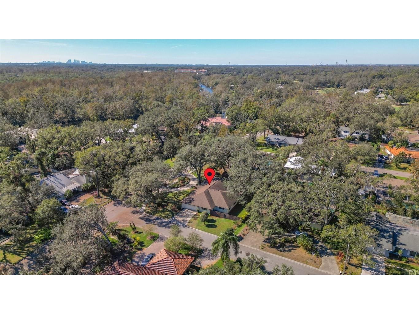 1116 N Riverhills Drive Temple Terrace FL 33617 TB8326070 image56