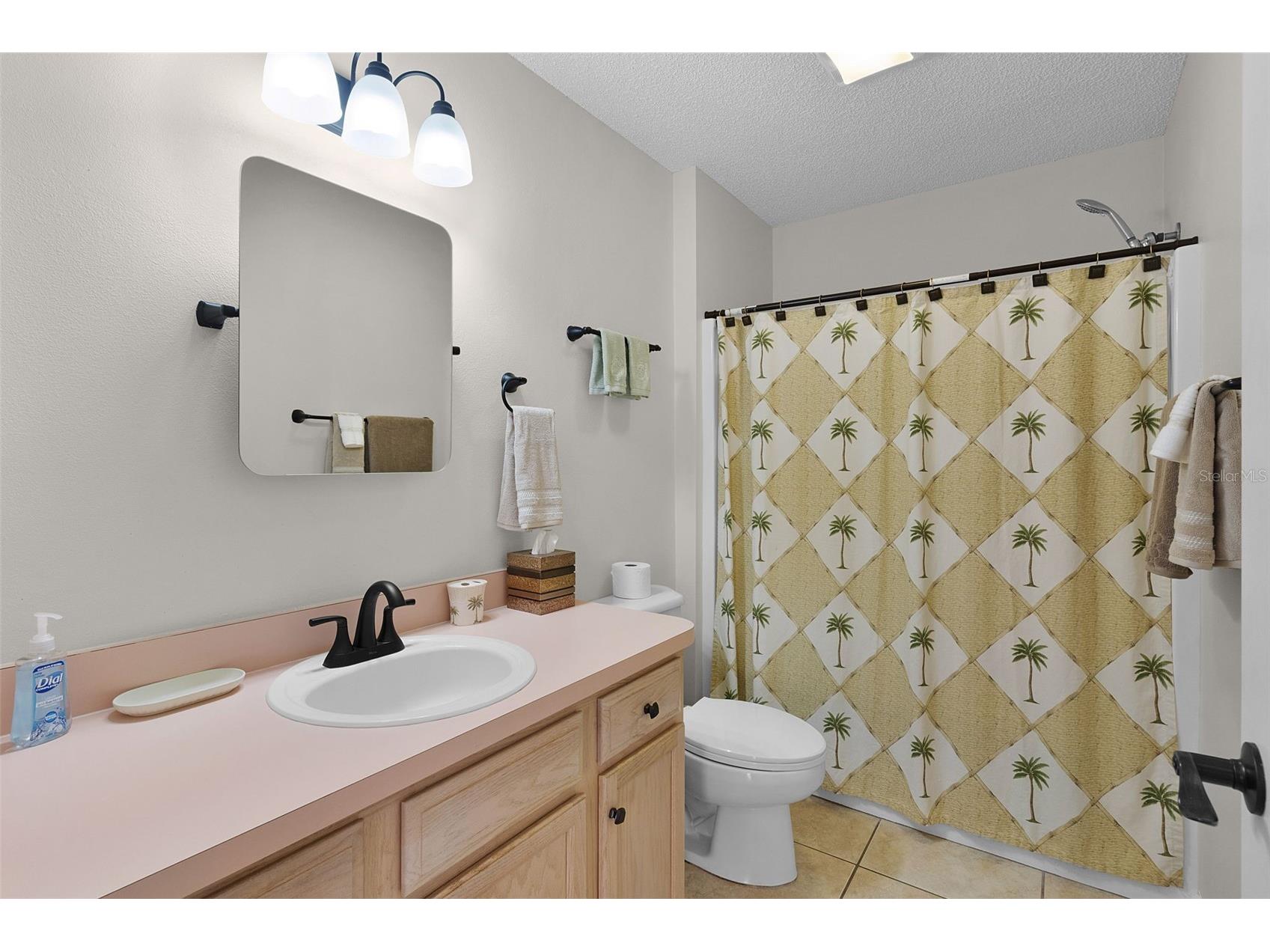 1116 San Bernardo Road The Villages FL 32162 G5107263 image27