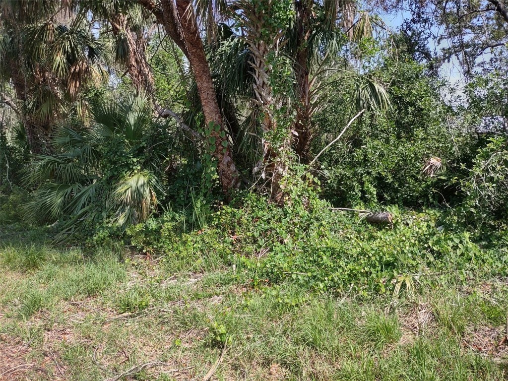 1116 Vernon Avenue Port Charlotte FL 33948 C7475322 image1