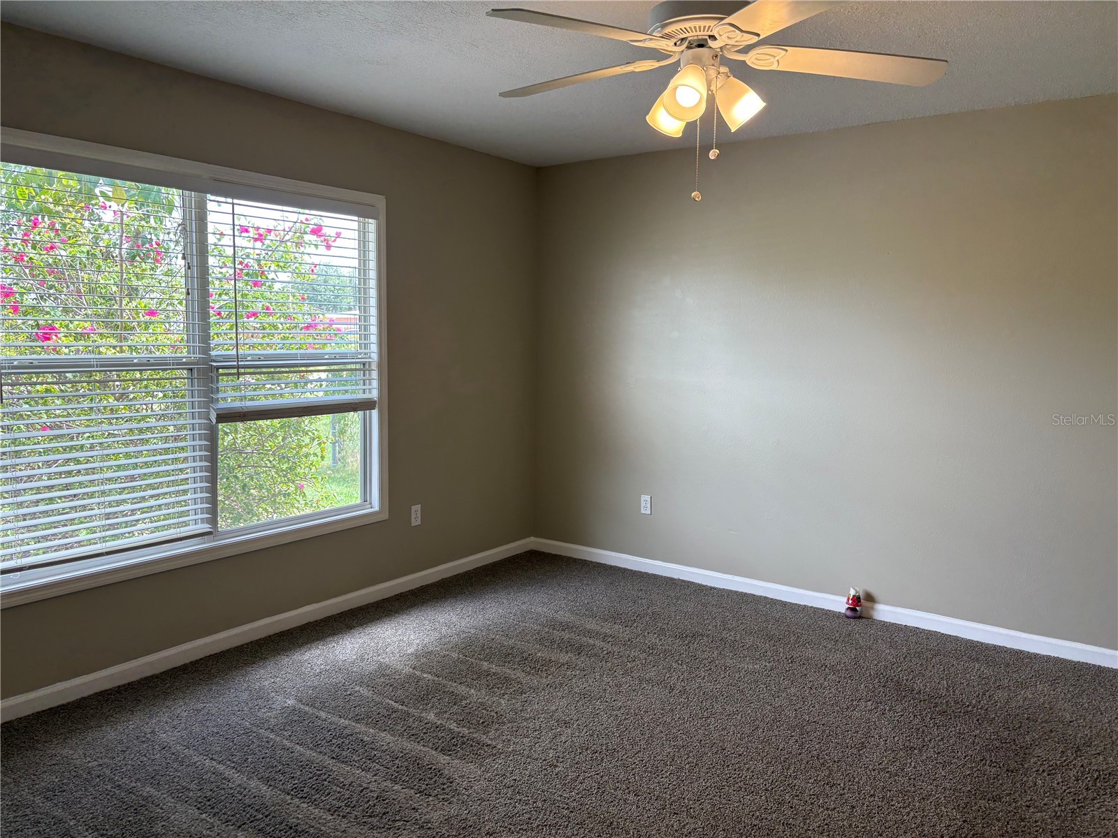 1116 W 40th Avenue Bradenton FL 34205 TB8523112 image13
