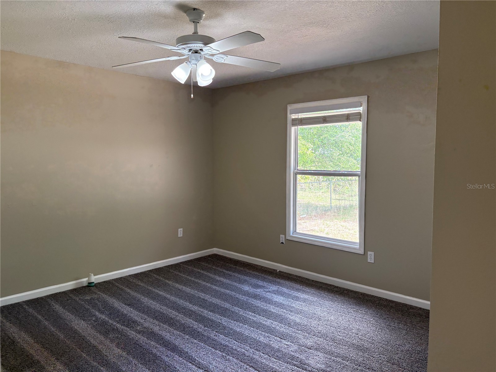 1116 W 40th Avenue Bradenton FL 34205 TB8523112 image15