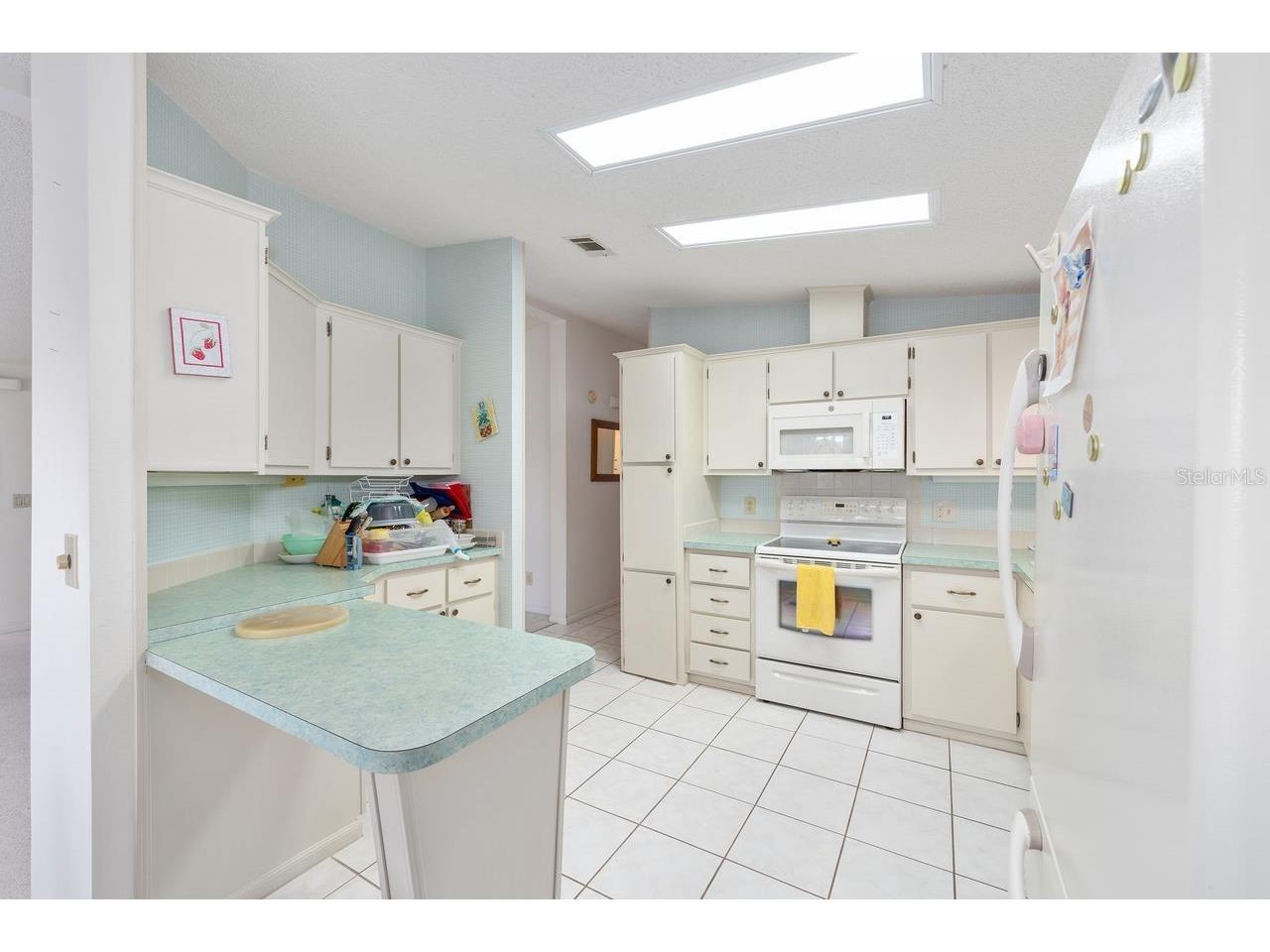 1116 W Boone Court Lady Lake FL 32159 OM722106 image25
