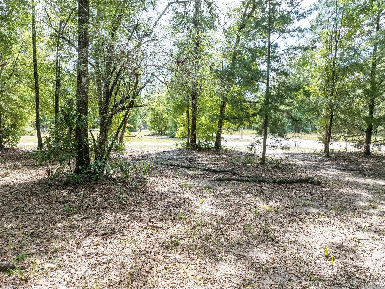 11160 NW 5th Avenue Branford FL 32008 GC539569 image49