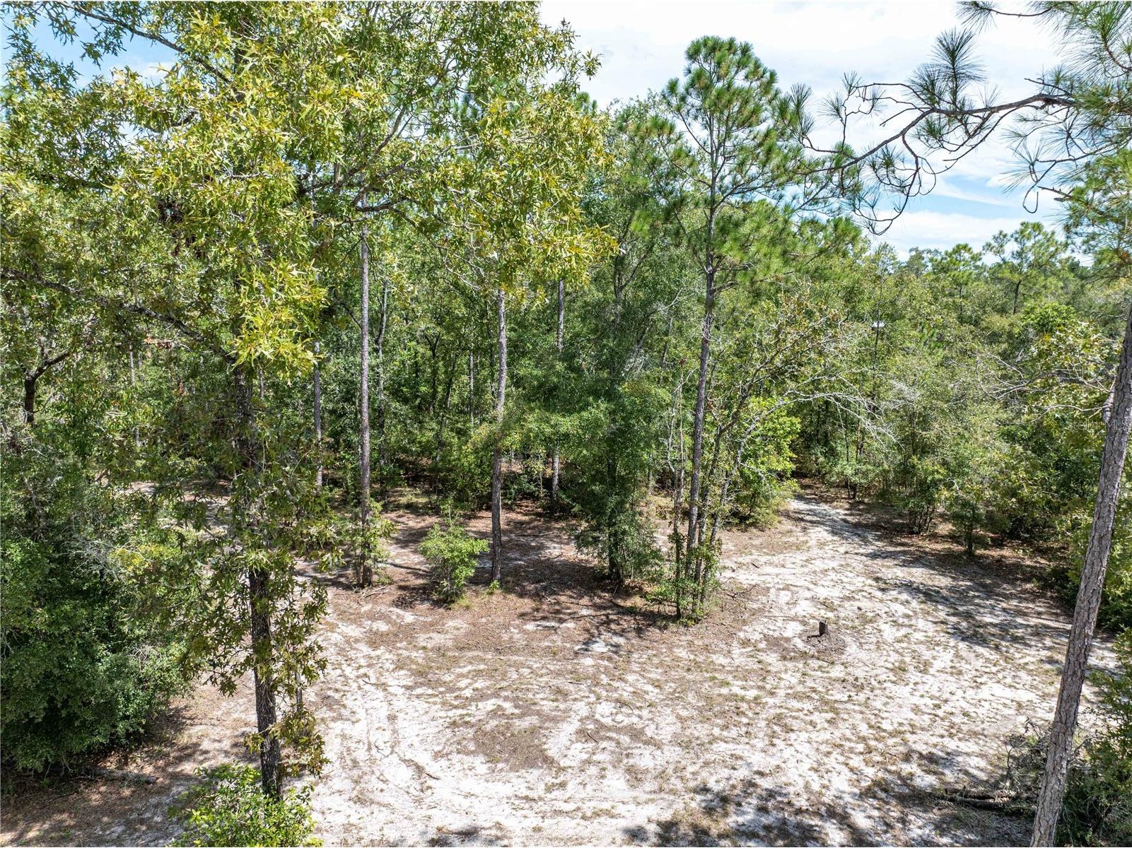 11160 NW 5th Avenue Branford FL 32008 GC539569 image51