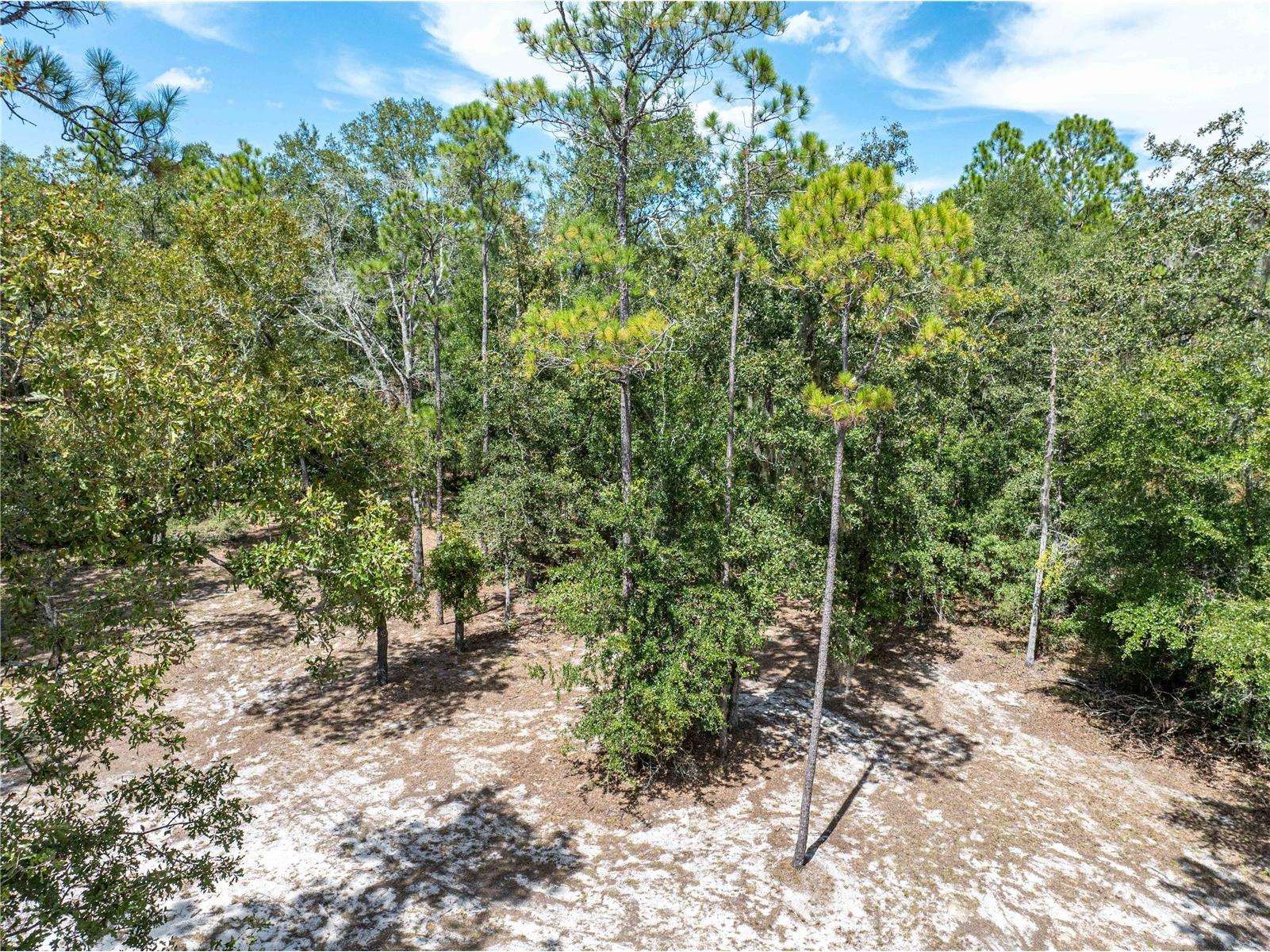 11160 NW 5th Avenue Branford FL 32008 GC539569 image52