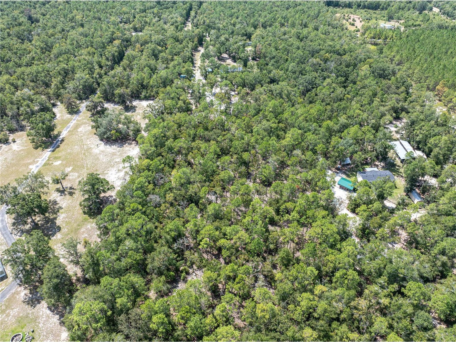 11160 NW 5th Avenue Branford FL 32008 GC539569 image56