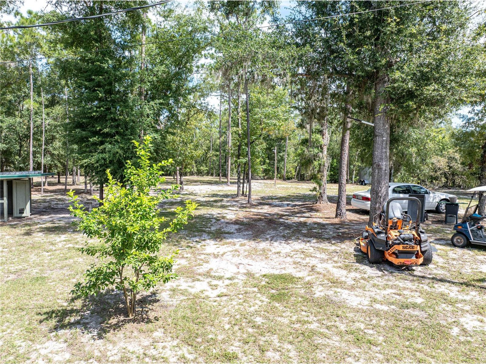 11160 NW 5th Avenue Branford FL 32008 GC539569 image59